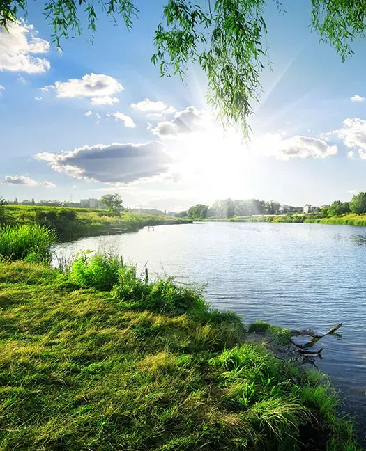 Sun shining over a green lake
